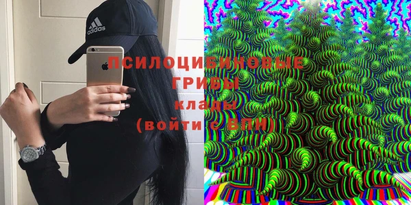 a pvp Алзамай