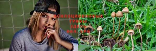 mdpv Алексеевка