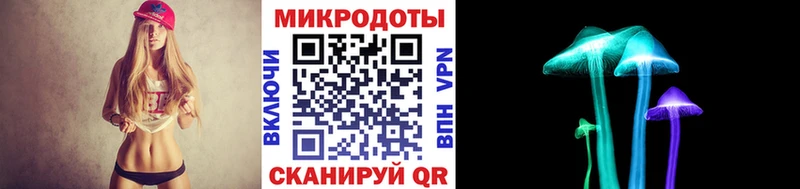 Псилоцибиновые грибы Cubensis  Лахденпохья 